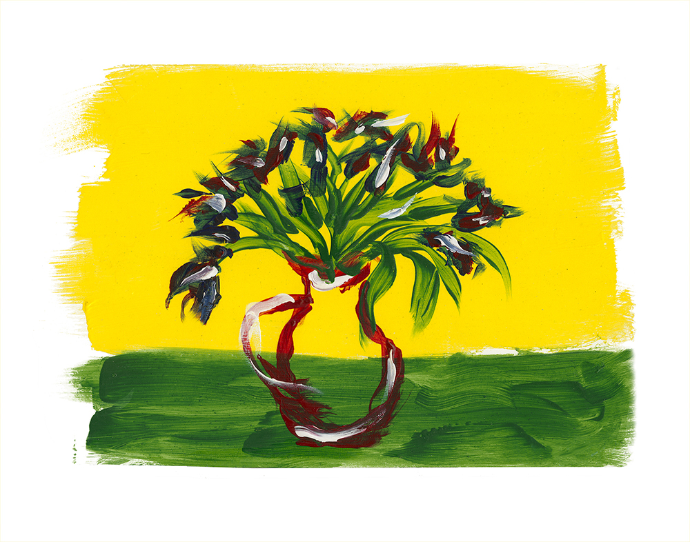 Irises by John Baker