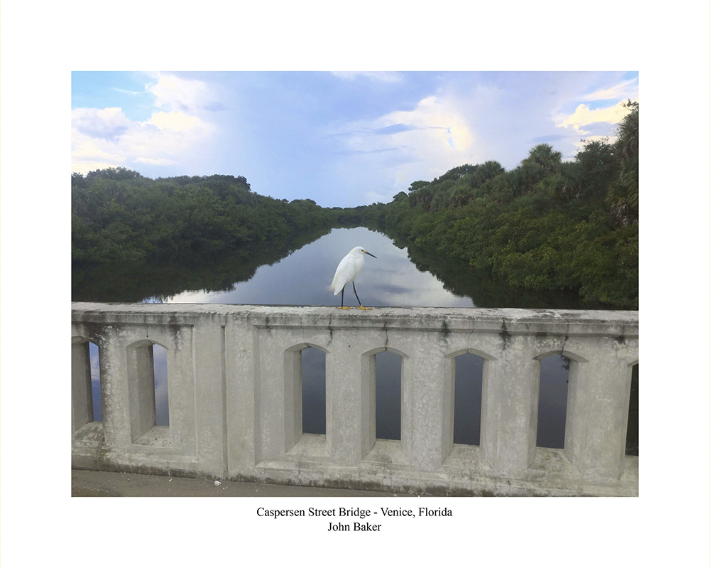 Snowy Egret on Caspersen Street Bridge photograph
